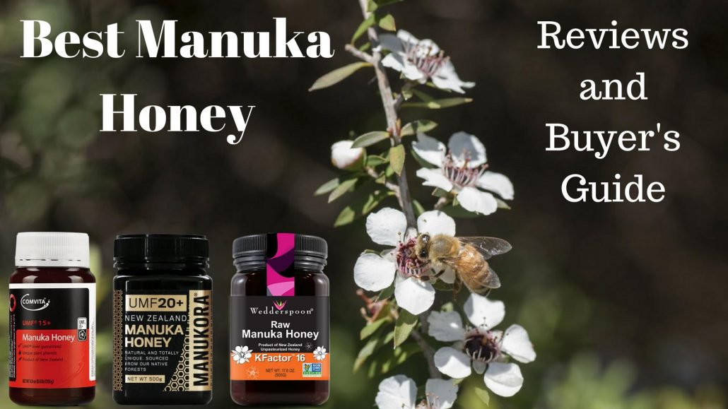 Best Manuka Honey - Reviews and Buyer's Guide