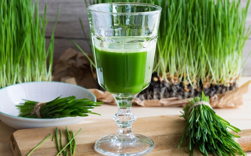 Best juicer for wheatgrass