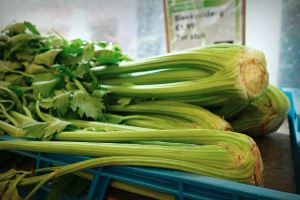 Celery