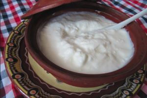 Plain Yogurt