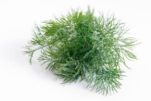 Dill